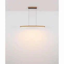 Lampes En Bois-Luminaires Globo Lighting Suspension Globo DORO LED Gris, Couleur bois, 1 lumière