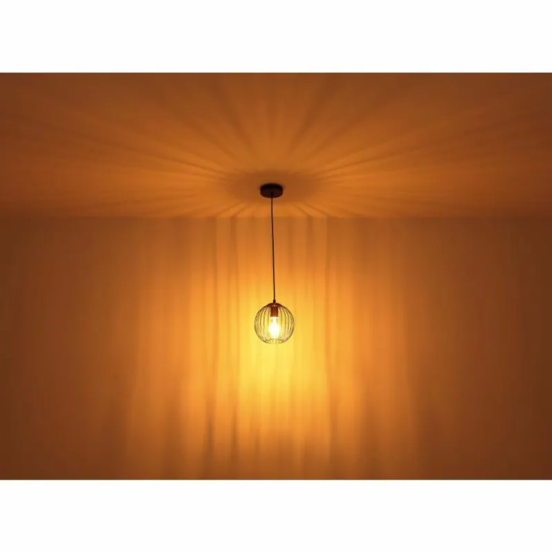 Luminaires Globo Lighting Suspension Globo EUSEBIUS Noir, 1 lumière* Suspensions