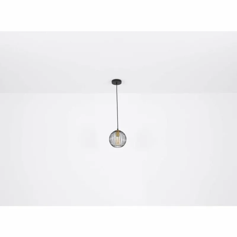 Luminaires Globo Lighting Suspension Globo EUSEBIUS Noir, 1 lumière* Suspensions