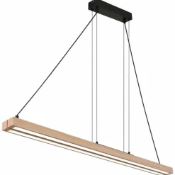 Luminaires Globo Lighting Suspension Globo GREKKIE LED Noir, 1 lumière, Télécommandes* Éclairage Led