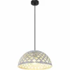 Luminaires Globo Lighting Suspension Globo HOLLIE Noir, 1 lumière* Suspensions