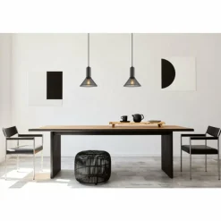 Luminaires Globo Lighting Suspension Globo JEDD Noir, 1 lumière* Suspensions