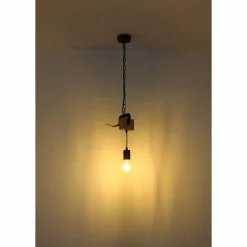 Lampes Industrielles-Luminaires Globo Lighting Suspension Globo LUDI Noir, 1 lumière