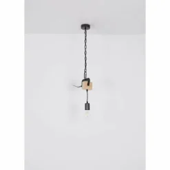 Lampes Industrielles-Luminaires Globo Lighting Suspension Globo LUDI Noir, 1 lumière