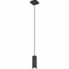 Luminaires Globo Lighting Suspension Globo ROBBY Noir, 1 lumière* Suspensions