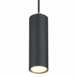 Luminaires Globo Lighting Suspension Globo ROBBY Noir, 1 lumière* Suspensions