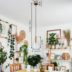 hofstein Suspension Kenong Laiton, 1 lumière