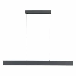 Luminaires Leuchten Direkt Suspension Leuchten-Direkt NILA LED Anthracite, 2 lumières, Télécommandes