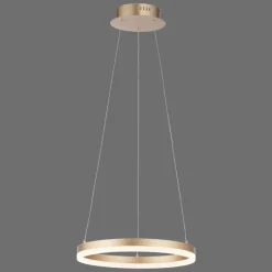 Luminaires Paul Neuhaus Suspension Leuchten-Direkt TITUS LED Laiton, 1 lumière* Éclairage Led