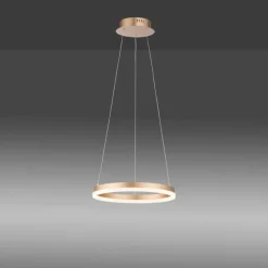 Luminaires Paul Neuhaus Suspension Leuchten-Direkt TITUS LED Laiton, 1 lumière* Éclairage Led