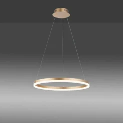 Luminaires Paul Neuhaus Suspension Leuchten-Direkt TITUS LED Laiton, 1 lumière* Éclairage Led