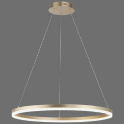 Luminaires Paul Neuhaus Suspension Leuchten-Direkt TITUS LED Laiton, 1 lumière* Éclairage Led