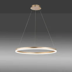 Luminaires Paul Neuhaus Suspension Leuchten-Direkt TITUS LED Laiton, 1 lumière* Éclairage Led