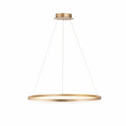 Luminaires Paul Neuhaus Suspension Leuchten-Direkt TITUS LED Laiton, 1 lumière* Éclairage Led