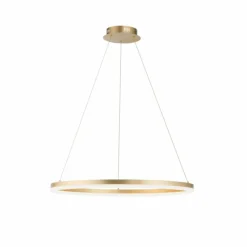 Luminaires Paul Neuhaus Suspension Leuchten-Direkt TITUS LED Laiton, 1 lumière* Éclairage Led