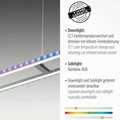 Luminaires Leuchten Direkt Suspension Leuchten-Direkt FELIX60 LED Acier brossé, 2 lumières, Télécommandes, Changeur de couleurs* Éclairage Led