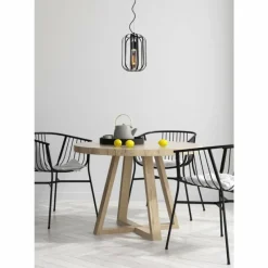 Luminaires Lucide Suspension Lucide FERN Noir, 1 lumière