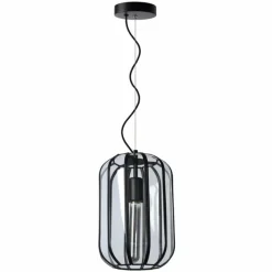 Luminaires Lucide Suspension Lucide FERN Noir, 1 lumière