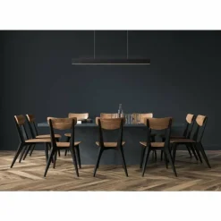 Luminaires Lucide Suspension Lucide RAYA LED Noir, 1 lumière* Éclairage Led