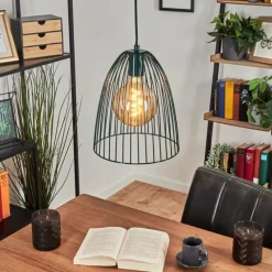 Lampes Industrielles-hofstein Suspension Malette Vert, 1 lumière