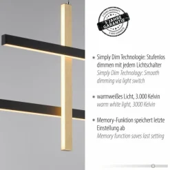 Lampes Dorées-Luminaires Paul Neuhaus Suspension Paul Neuhaus BARRA LED Or, Noir, 1 lumière