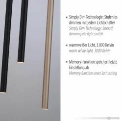 Lampes Dorées-Luminaires Paul Neuhaus Suspension Paul Neuhaus FLUTE LED Noir, 10 lumières