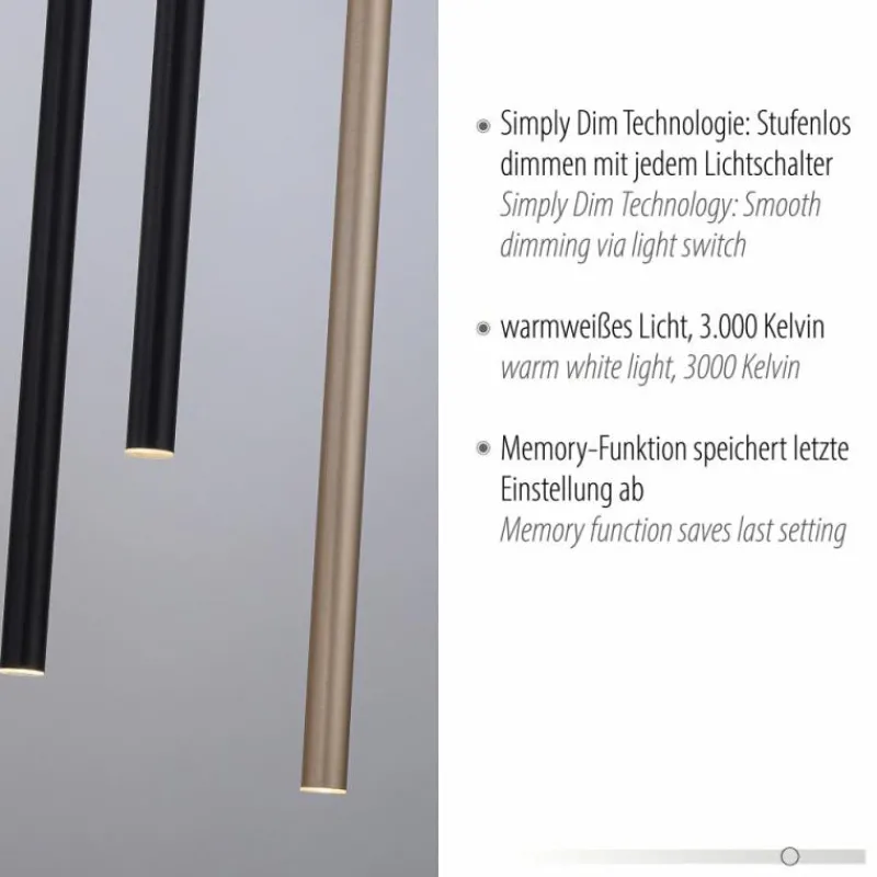 Lampes Dorées-Luminaires Paul Neuhaus Suspension Paul Neuhaus FLUTE LED Noir, 10 lumières