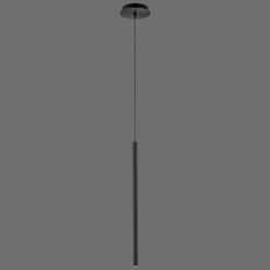 Luminaires Paul Neuhaus Suspension Paul Neuhaus FLUTE LED Noir, 1 lumière* Éclairage Led