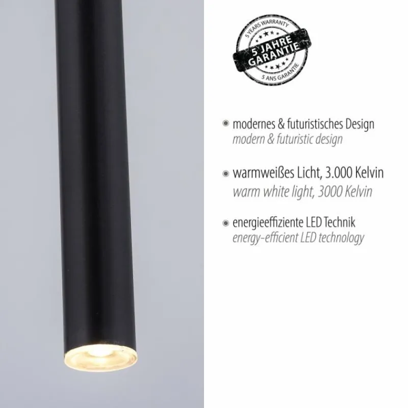 Luminaires Paul Neuhaus Suspension Paul Neuhaus FLUTE LED Noir, 1 lumière* Éclairage Led