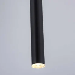 Luminaires Paul Neuhaus Suspension Paul Neuhaus FLUTE LED Noir, 1 lumière* Éclairage Led