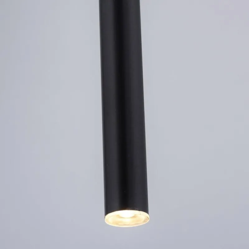 Luminaires Paul Neuhaus Suspension Paul Neuhaus FLUTE LED Noir, 1 lumière* Éclairage Led