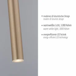 Lampes Dorées-Luminaires Paul Neuhaus Suspension Paul Neuhaus FLUTE LED Or, 1 lumière
