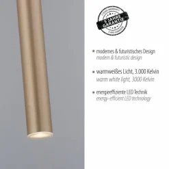 Lampes Dorées-Luminaires Paul Neuhaus Suspension Paul Neuhaus FLUTE LED Or, 1 lumière