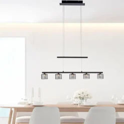 Suspension Verre Fumé-Luminaires Paul Neuhaus Suspension Paul Neuhaus HYDRA LED Noir, 5 lumières