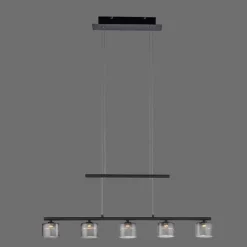 Suspension Verre Fumé-Luminaires Paul Neuhaus Suspension Paul Neuhaus HYDRA LED Noir, 5 lumières