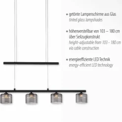 Suspension Verre Fumé-Luminaires Paul Neuhaus Suspension Paul Neuhaus HYDRA LED Noir, 5 lumières