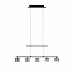 Suspension Verre Fumé-Luminaires Paul Neuhaus Suspension Paul Neuhaus HYDRA LED Noir, 5 lumières