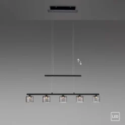 Suspension Verre Fumé-Luminaires Paul Neuhaus Suspension Paul Neuhaus HYDRA LED Noir, 5 lumières