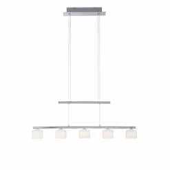 Luminaires Paul Neuhaus Suspension Paul Neuhaus HYDRA LED Acier brossé, 5 lumières