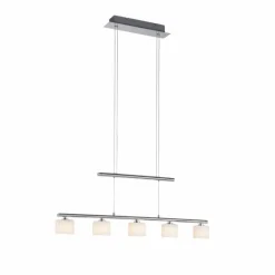 Luminaires Paul Neuhaus Suspension Paul Neuhaus HYDRA LED Acier brossé, 5 lumières