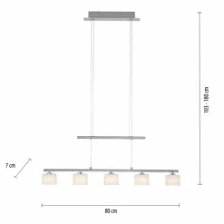 Luminaires Paul Neuhaus Suspension Paul Neuhaus HYDRA LED Acier brossé, 5 lumières