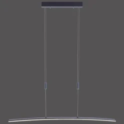 Luminaires Paul Neuhaus Suspension Paul Neuhaus JANINA LED Anthracite, 1 lumière* Éclairage Led