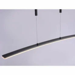 Luminaires Paul Neuhaus Suspension Paul Neuhaus JANINA LED Anthracite, 1 lumière* Éclairage Led