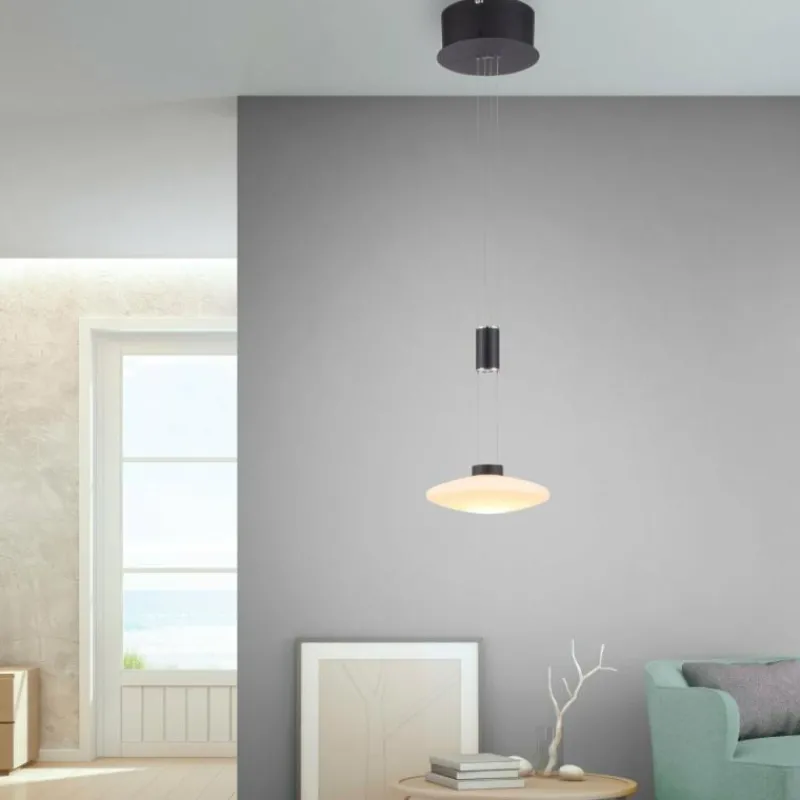 Luminaires Paul Neuhaus Suspension Paul Neuhaus LAUTADA LED Noir, 1 lumière
