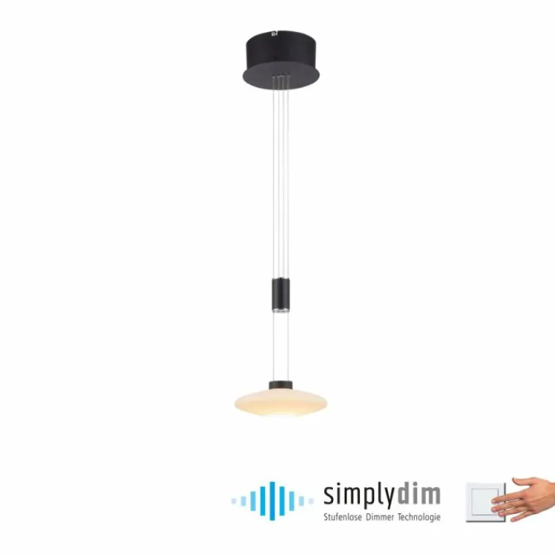 Luminaires Paul Neuhaus Suspension Paul Neuhaus LAUTADA LED Noir, 1 lumière