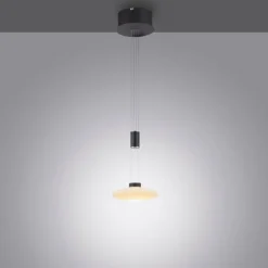Luminaires Paul Neuhaus Suspension Paul Neuhaus LAUTADA LED Noir, 1 lumière