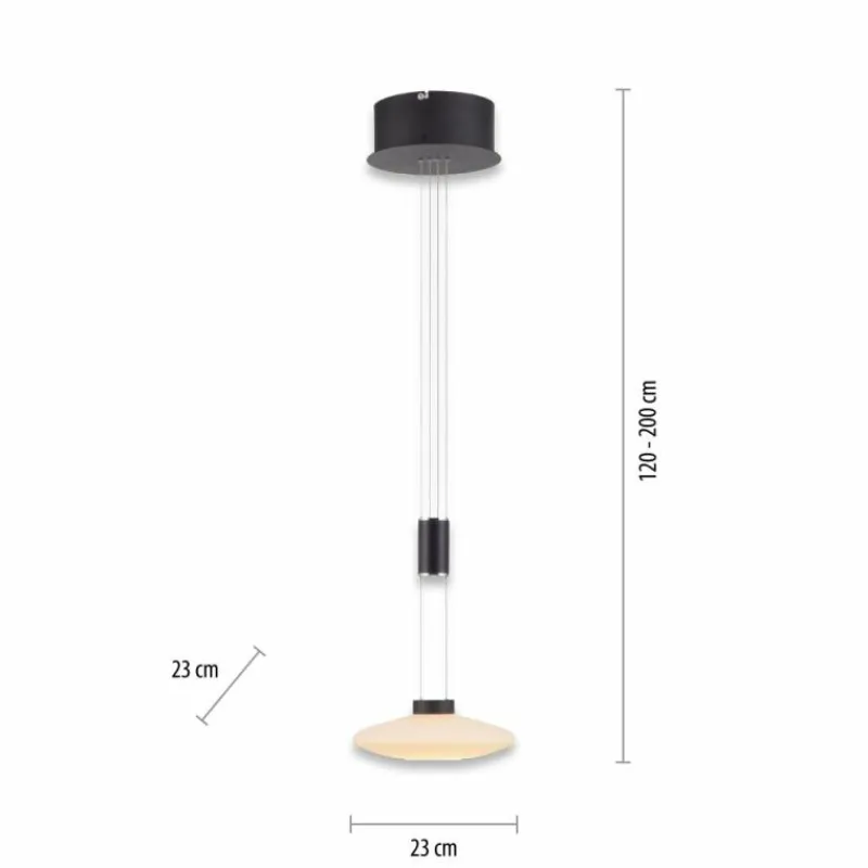 Luminaires Paul Neuhaus Suspension Paul Neuhaus LAUTADA LED Noir, 1 lumière