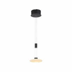 Luminaires Paul Neuhaus Suspension Paul Neuhaus LAUTADA LED Noir, 1 lumière