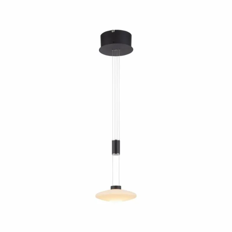 Luminaires Paul Neuhaus Suspension Paul Neuhaus LAUTADA LED Noir, 1 lumière