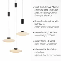 Luminaires Paul Neuhaus Suspension Paul Neuhaus LAUTADA LED Noir, 3 lumières